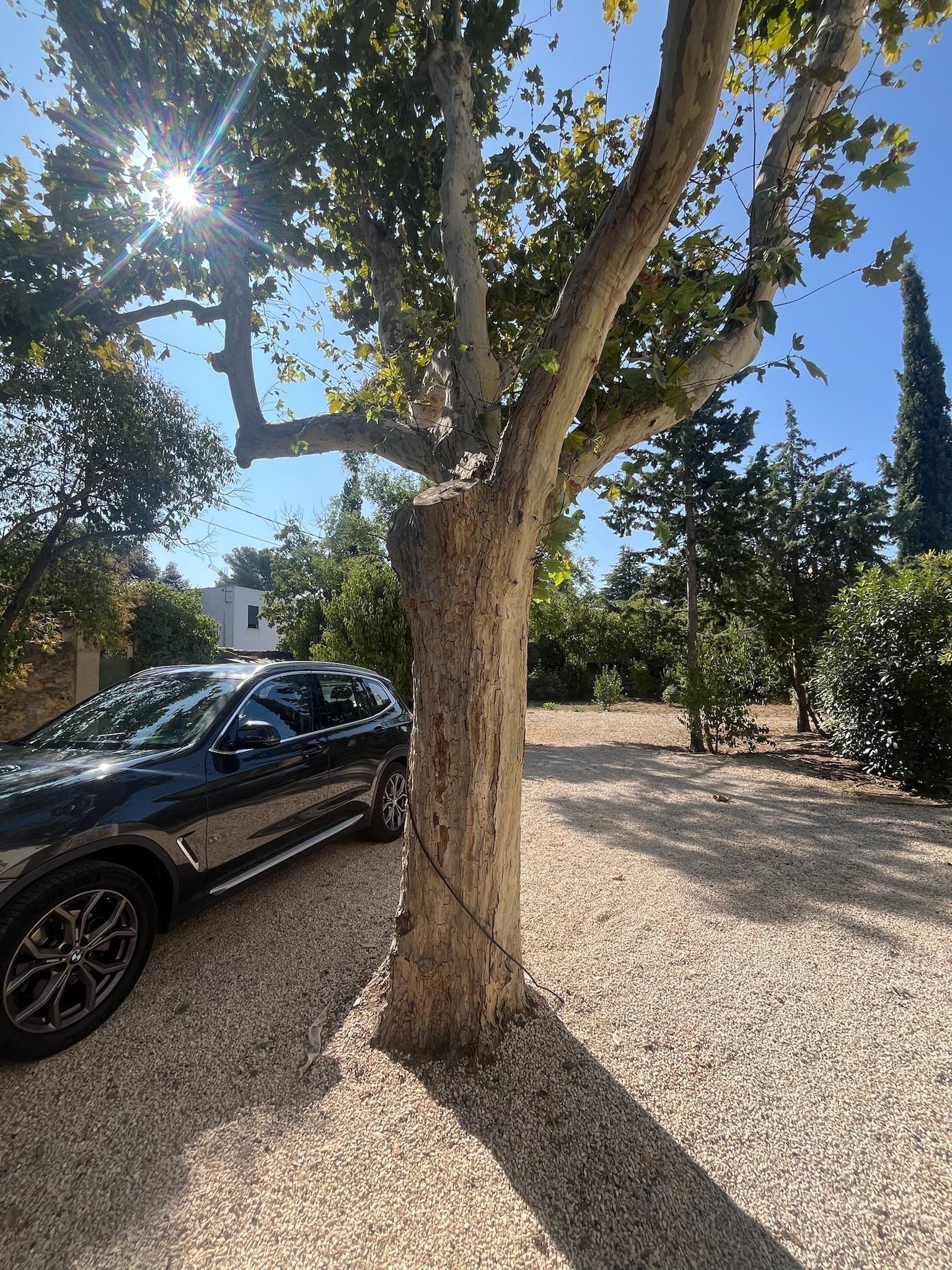 Chantier Bianco - Photo 33